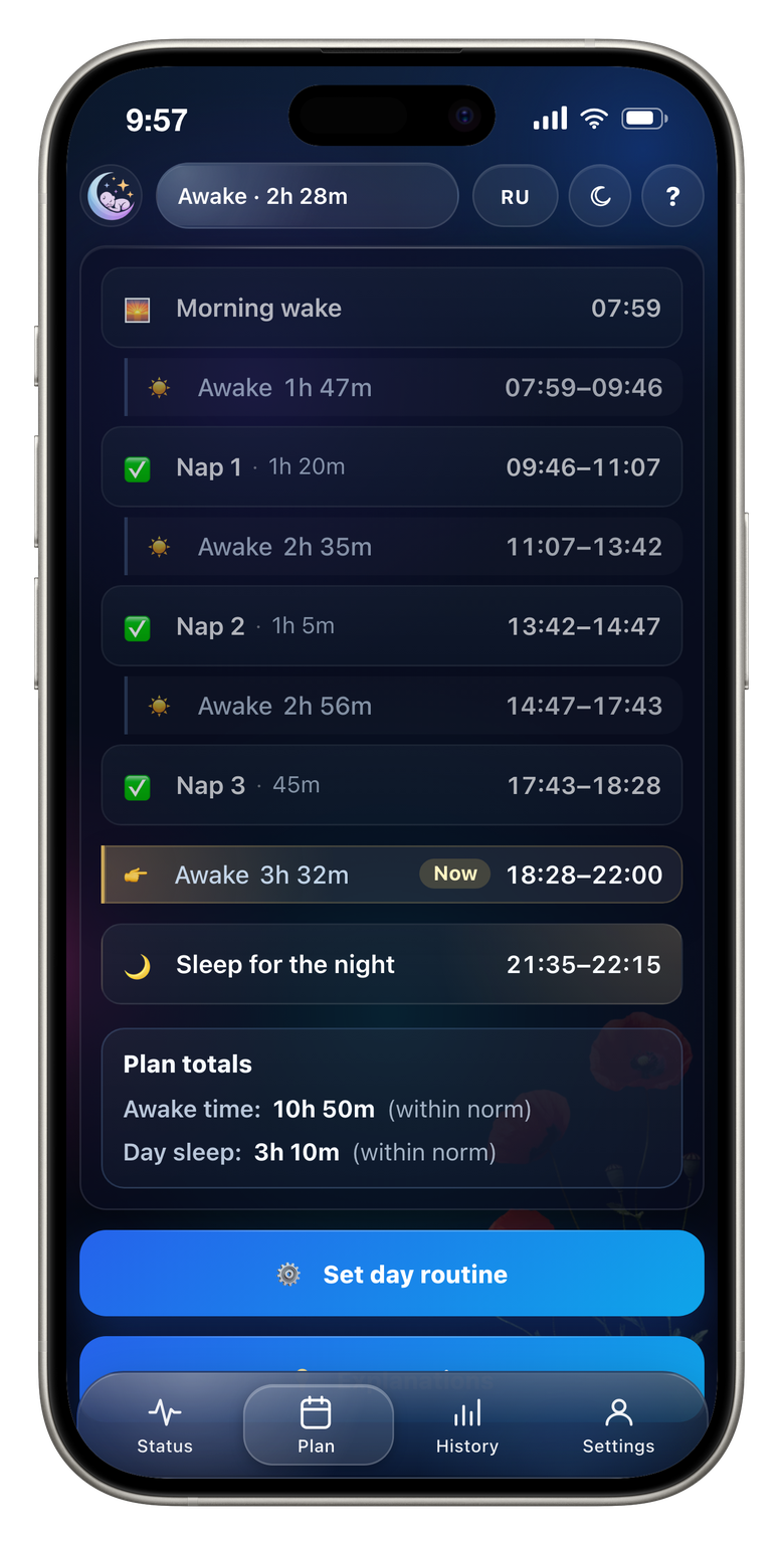 The day plan and next bedtime